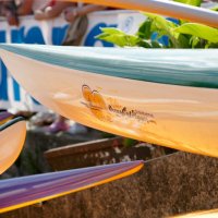 course_pirogue_BX (3 sur 38)
